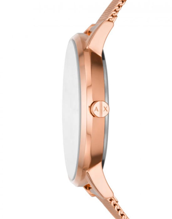 Armani Exchange Armani Exchange Hampton  AX5573 , наручные женские часы фото под углом