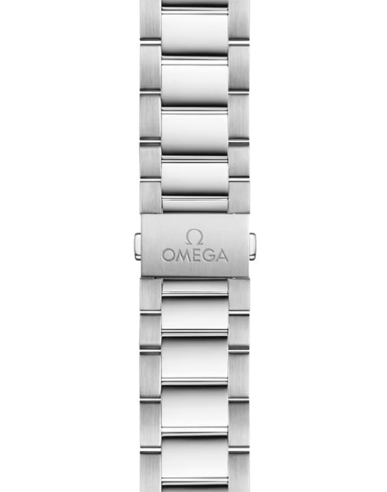 Omega Omega Seamaster Aqua Terra 220.10.41.21.06.001 Aqua Terra, наручные мужские часы фото под углом