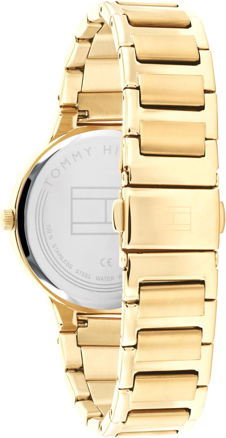 Оригинальные часы Tommy Hilfiger Tommy Hilfiger Classic 1782402 кварцевые калибр механизма  общий вид