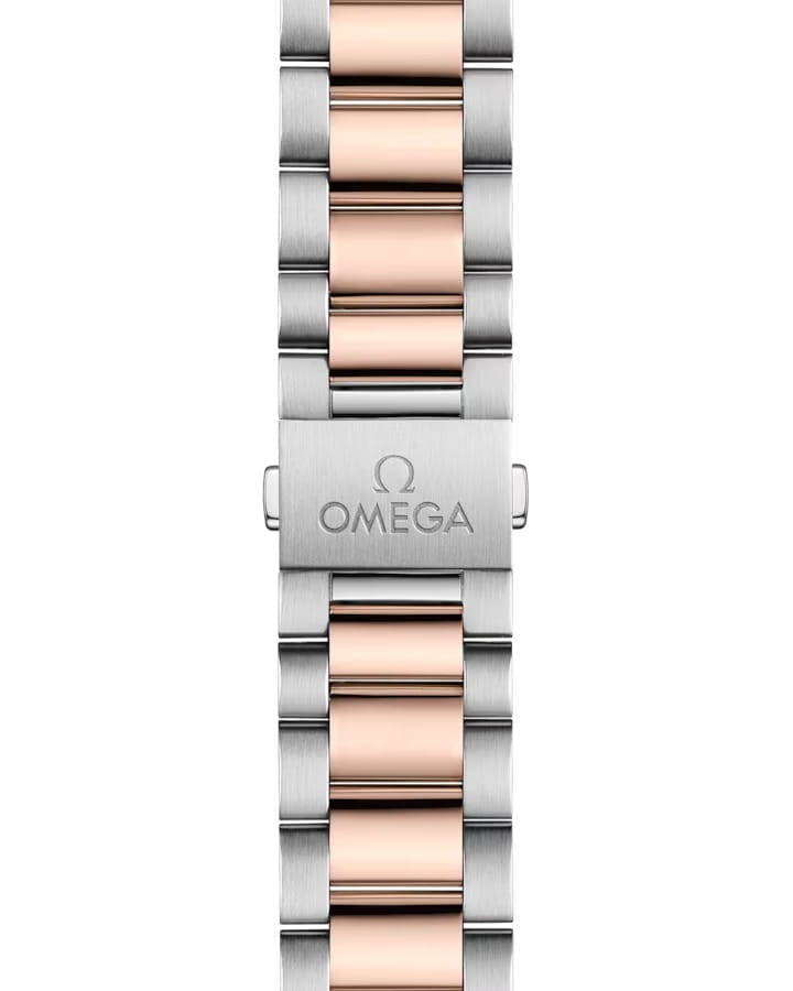 Оригинальные часы Omega Omega Seamaster Aqua Terra 220.20.41.21.02.001 механические калибр механизма omega 8900 общий вид