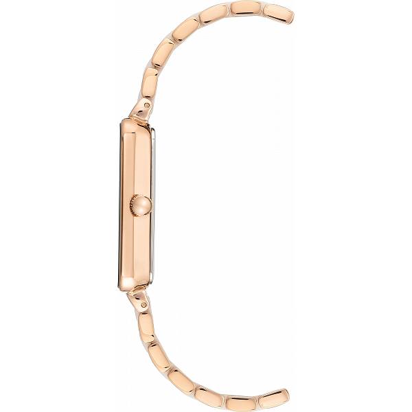 Anne Klein Anne Klein Diamond 3668LPRG  — детали корпуса и сталь + pvd + керамика