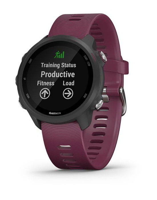 Garmin Garmin Forerunner 245 010-02120-11 мужские часы цветной циферблат на запястье