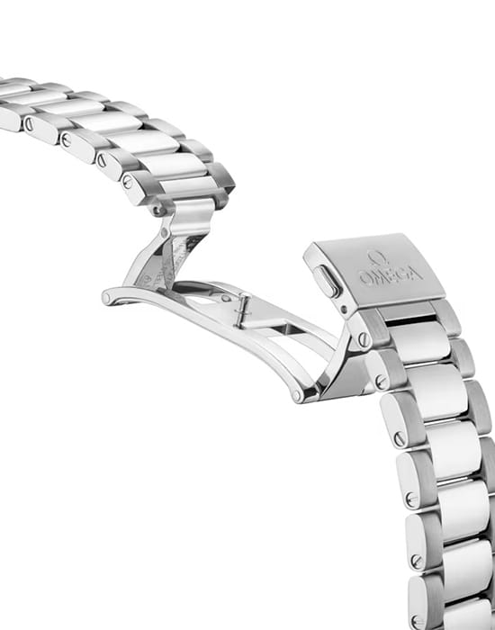 Omega Omega Seamaster Aqua Terra 220.10.41.21.06.001, seamaster швейцария мужские часы на браслете нержавеющая сталь боковой вид