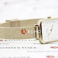 Daniel Wellington DW00100527