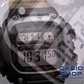 Casio DW-291HX-5A