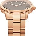 Daniel Wellington DW00100210