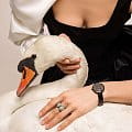Swarovski 5547646