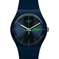 Swatch SO29N704