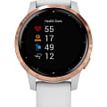 Часы Garmin Vivoactive 4S 010-02172-23