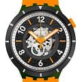 Swatch SB03G107