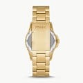 Fossil FS5950