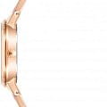 Часы Anne Klein Plastic 4006PKRG фото 2