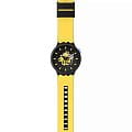 Swatch SB03B109