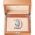 Omega 22010412102004