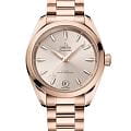 Omega 22050342009001