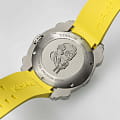 Hamilton H78535380