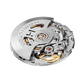 Hamilton H42535110
