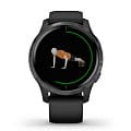 Часы Garmin Venu 010-02173-13 фото 5