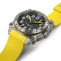 Hamilton H78535380